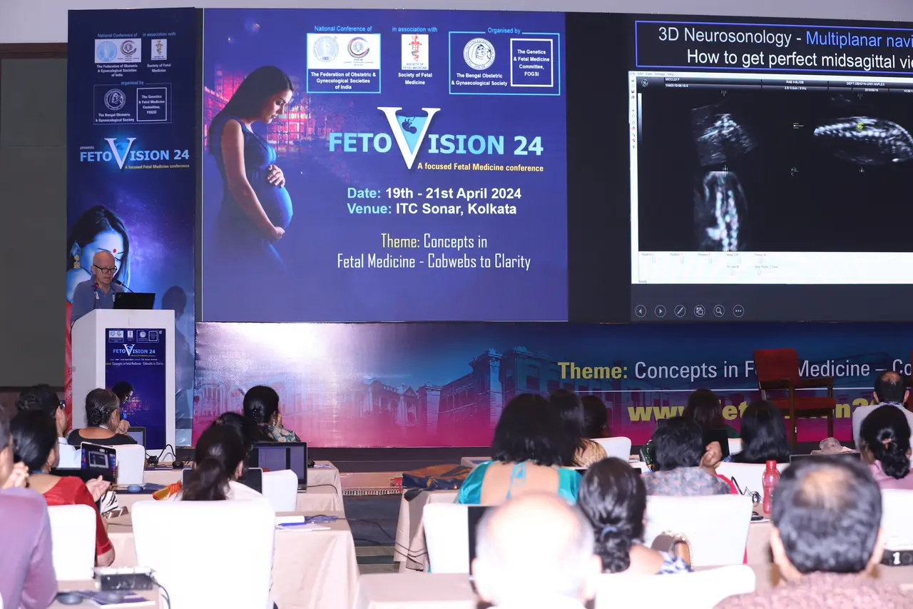 FETOVISION Conference Images - Workshop